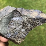 Stromatocystites pentagularis